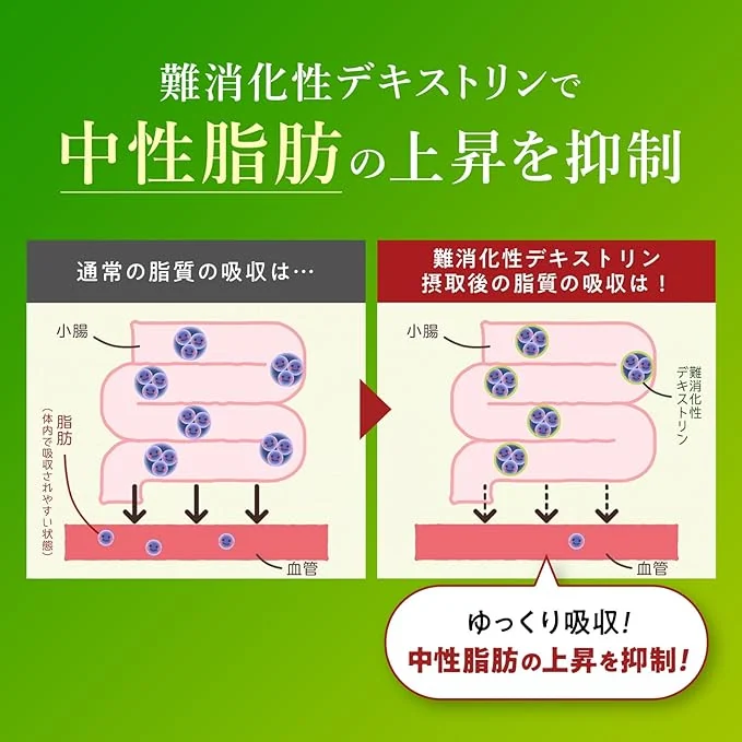 難消化性デキストリンで中性脂肪の上昇を抑制:脂質がゆっくり吸収される仕組み
