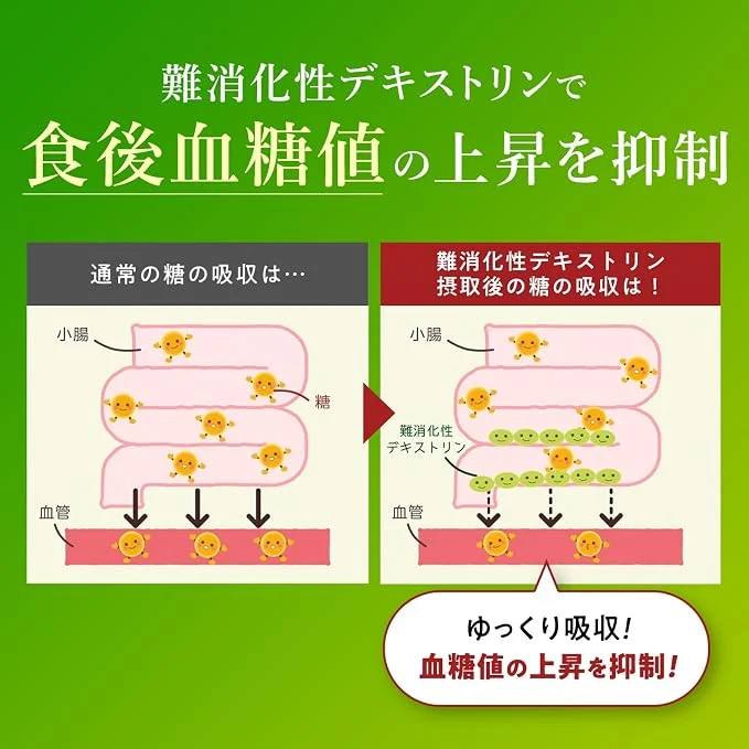 難消化性デキストリンで食後血糖値の上昇を抑制:糖がゆっくり吸収される仕組み
