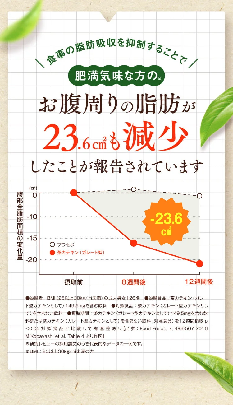 肥満気味な方のお腹周りの脂肪が12週間で23.6cm²減少したことが報告されています